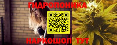 гидропоника Новодвинск