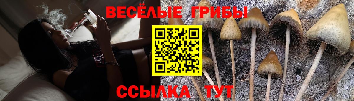 Псилоцибиновые грибы MAGIC MUSHROOMS Киржач